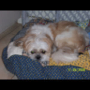 Meet your Posher, Loyda